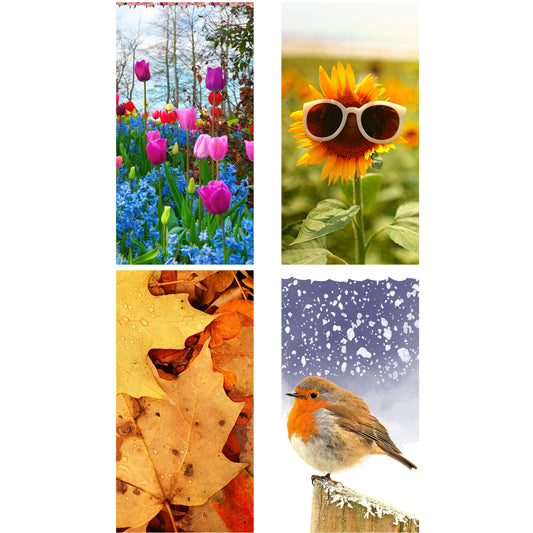 Readerly Four Seasons Magnetic Bookmark - Spring Summer Autumn Winter (4 PACK)