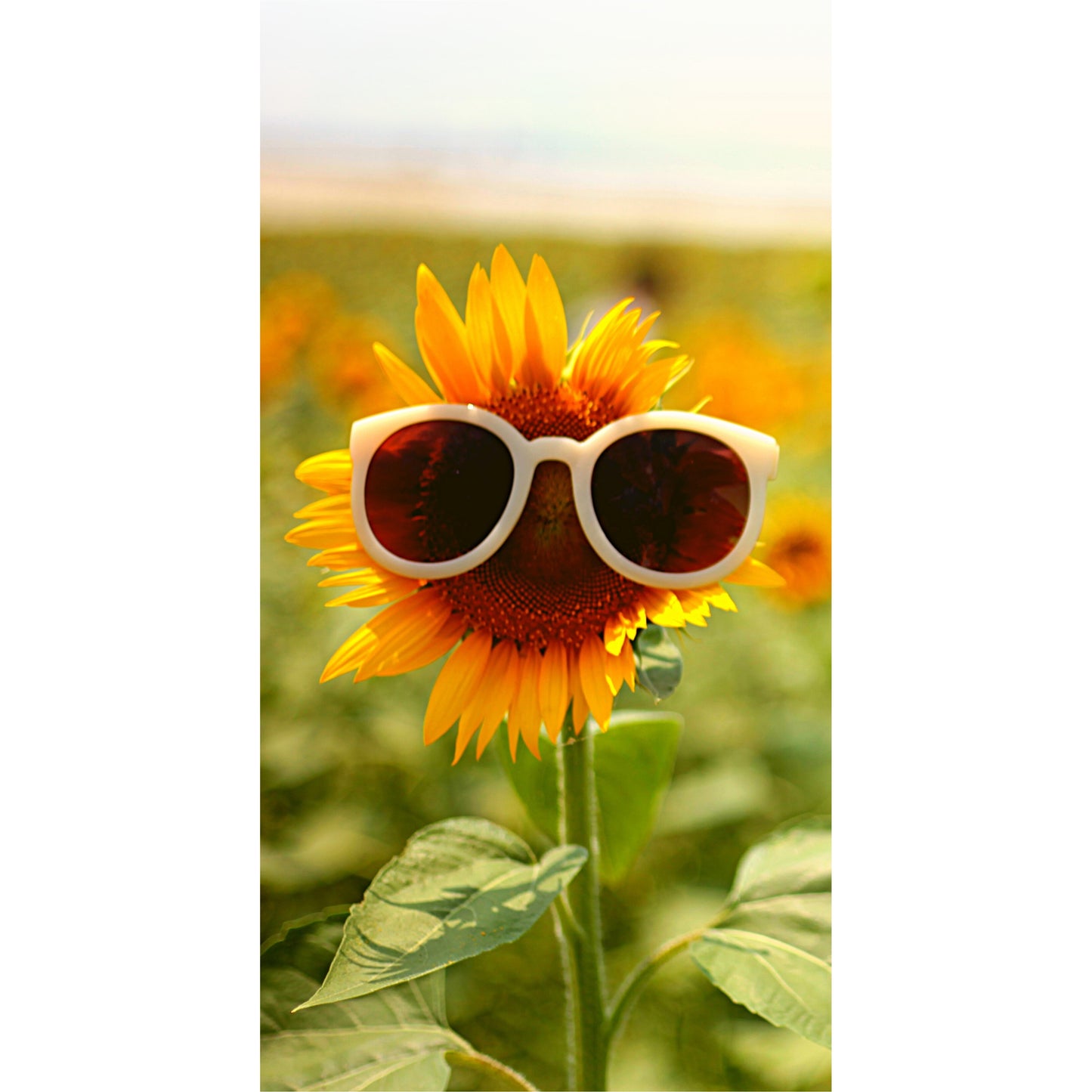 Readerly Summer Sunflowers Magnetic Bookmark
